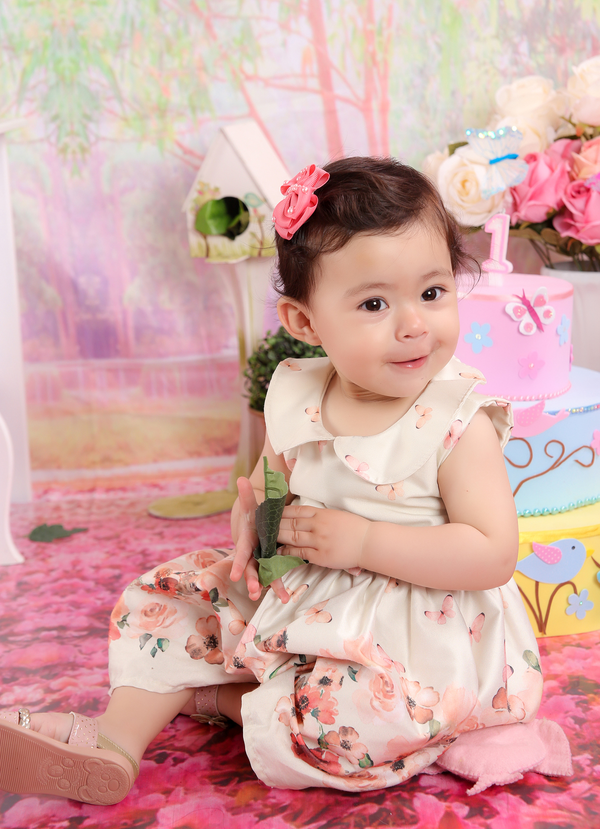 studio-foto-forografia-estudio-book-gestante-acompanhamento-bebe-mesversario-casal-smash-newborn-gestante-ibiuna-aniversario 