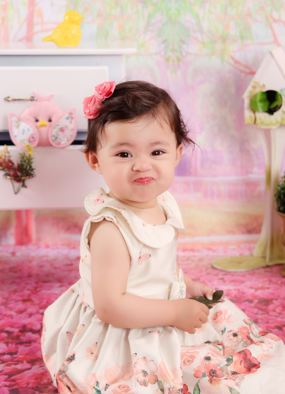 studio-foto-forografia-estudio-book-gestante-acompanhamento-bebe-mesversario-casal-smash-newborn-gestante-ibiuna-aniversario 