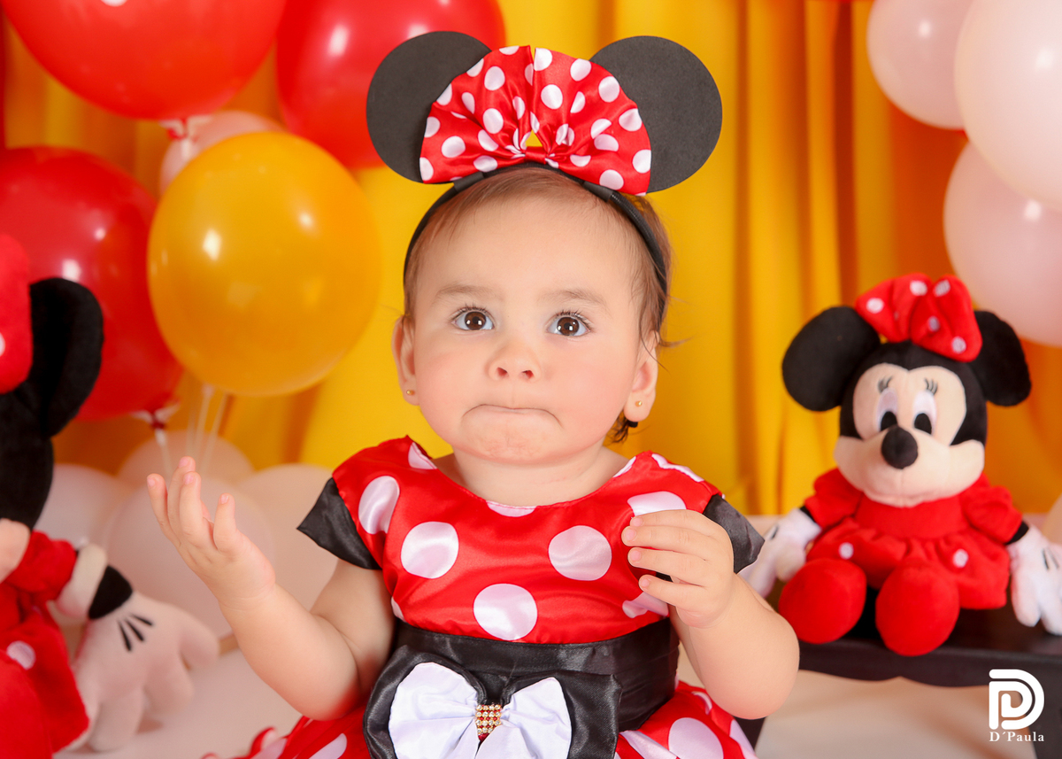 studio-foto-forografia-estudio-book-gestante-acompanhamento-bebe-mesversario-casal-smash-newborn-gestante-ibiuna-aniversario-minnie