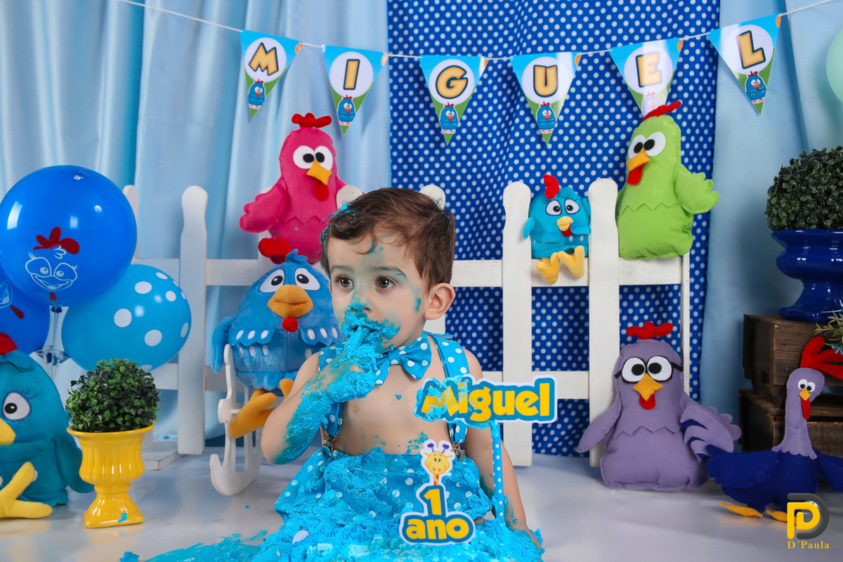 studio-foto-forografia-estudio-book-gestante-acompanhamento-bebe-mesversario-casal-smash-newborn-gestante-ibiuna-aniversario 