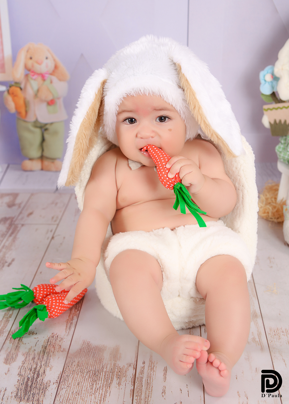 studio-estudio-foto-fotografia-book-gestante-acompanhamento-bebe-mesversario-casal-smash-newborn-ibiuna-aniversario-sao-paulo-coelhinho-ovos-de-pascoa-fantasia-orelhas-de-coelho