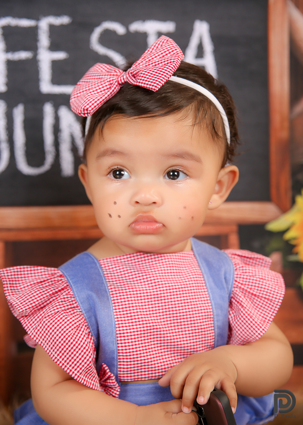 studio-estudio-foto-fotografia-book-gestante-acompanhamento-bebe-mesversario-casal-smash-newborn-ibiuna-aniversario-sao-paulo-tema-festa-junina-girassois-amarelos-regador