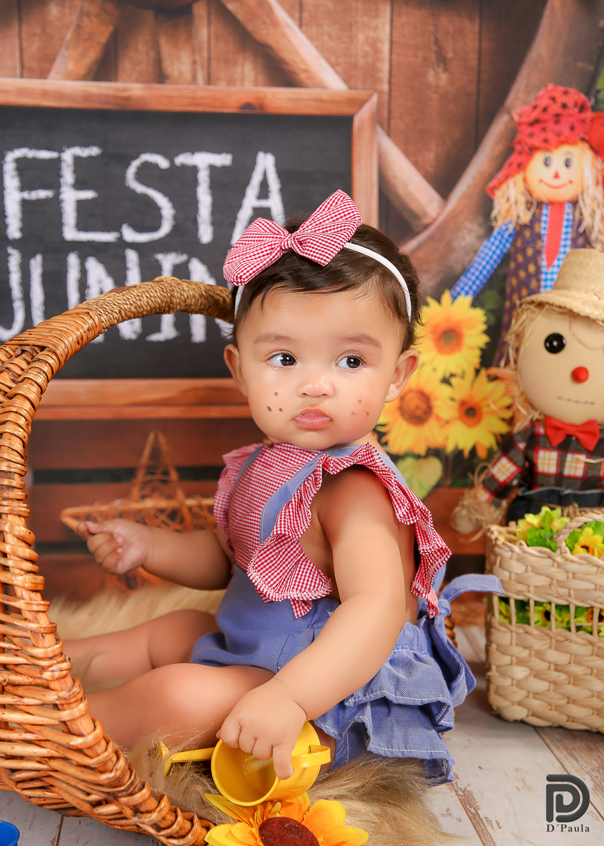 studio-estudio-foto-fotografia-book-gestante-acompanhamento-bebe-mesversario-casal-smash-newborn-ibiuna-aniversario-sao-paulo-tema-festa-junina-girassois-amarelos-regador