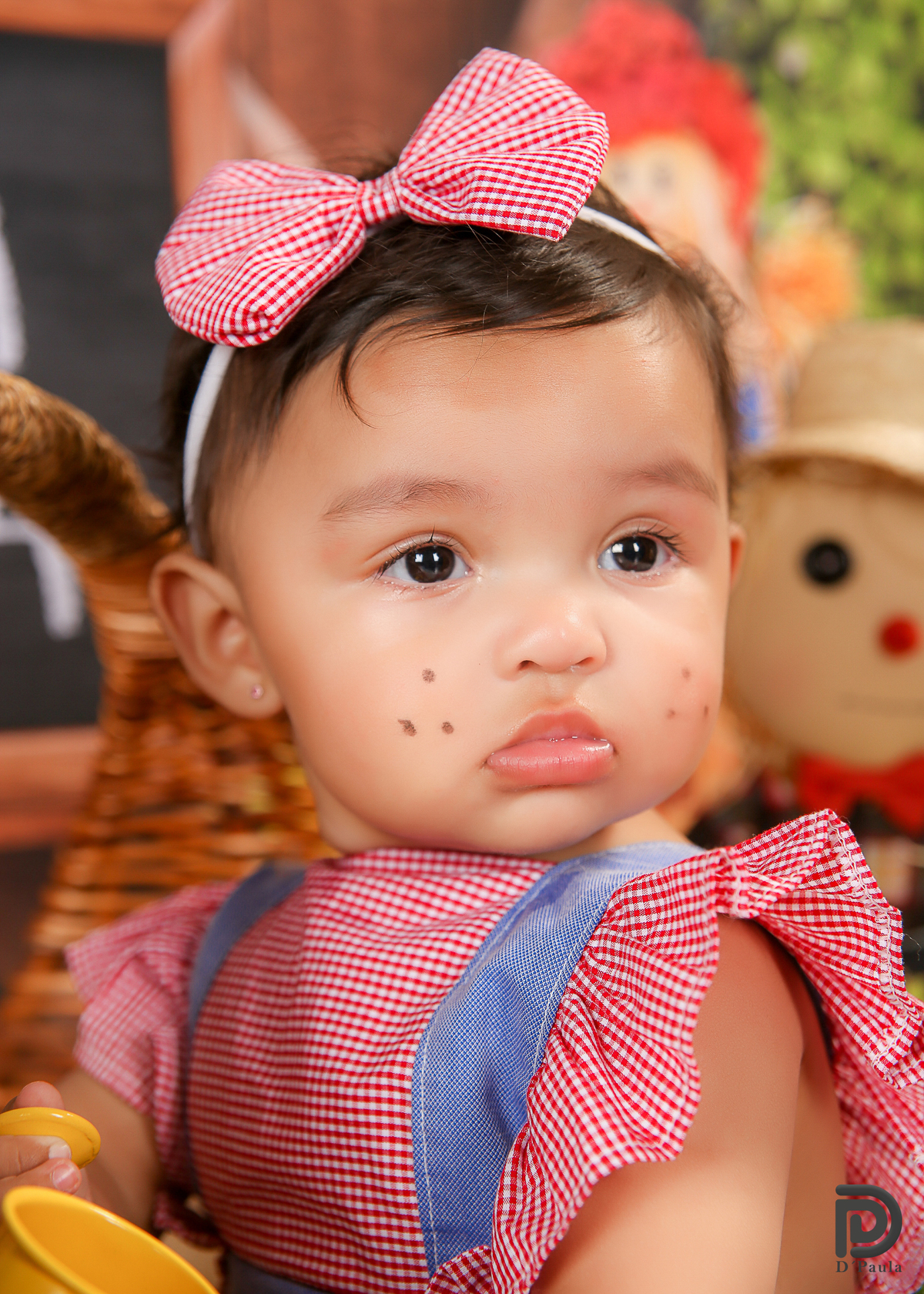 studio-estudio-foto-fotografia-book-gestante-acompanhamento-bebe-mesversario-casal-smash-newborn-ibiuna-aniversario-sao-paulo-tema-festa-junina-girassois-amarelos-regador