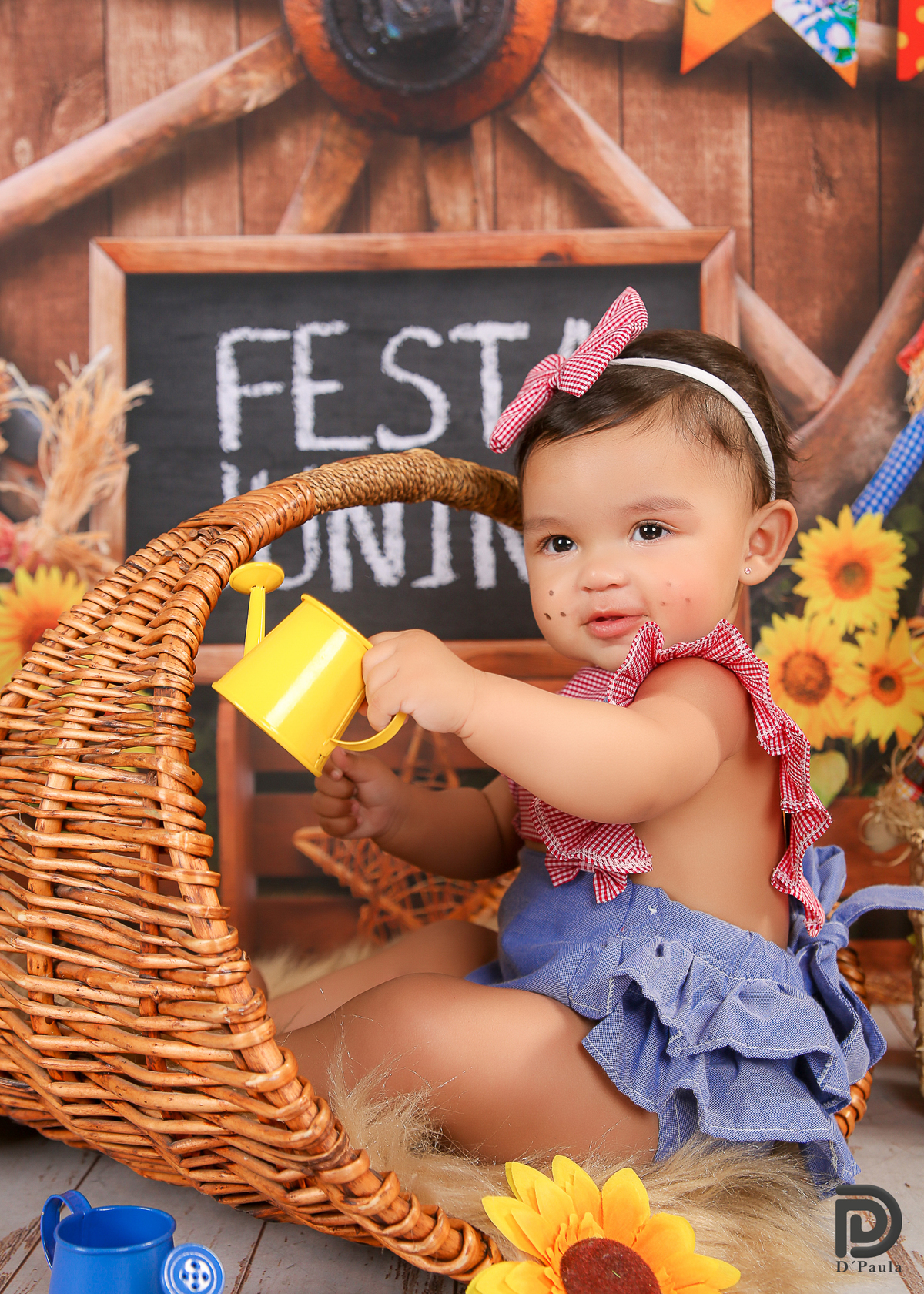 studio-estudio-foto-fotografia-book-gestante-acompanhamento-bebe-mesversario-casal-smash-newborn-ibiuna-aniversario-sao-paulo-tema-festa-junina-girassois-amarelos-regador
