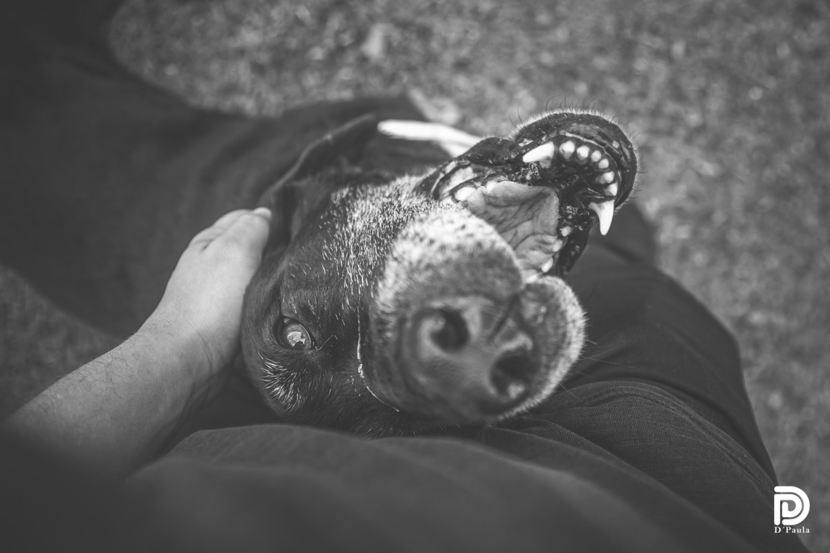 studio-estudio-foto-fotografia-book-gestante-acompanhamento-bebe-mesversario-casal-smash-newborn-ibiuna-aniversario-sao-paulo-chacara-ibiuna