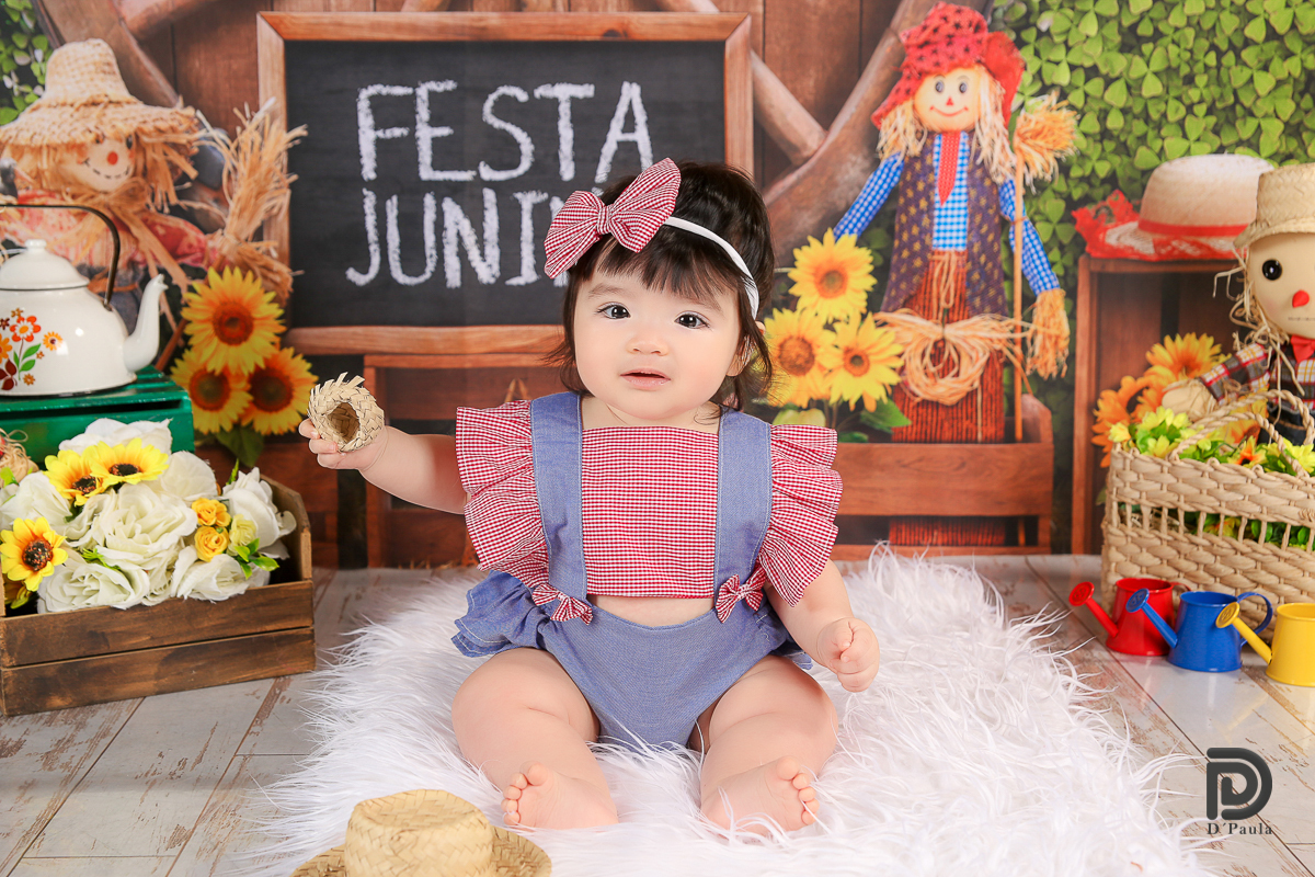 studio-estudio-foto-fotografia-book-gestante-acompanhamento-bebe-mesversario-casal-smash-newborn-ibiuna-aniversario-sao-paulo-laço-rosa-vermelho-fita-azul-chapeu-flores-girassol-festa-junina-bandeirinha