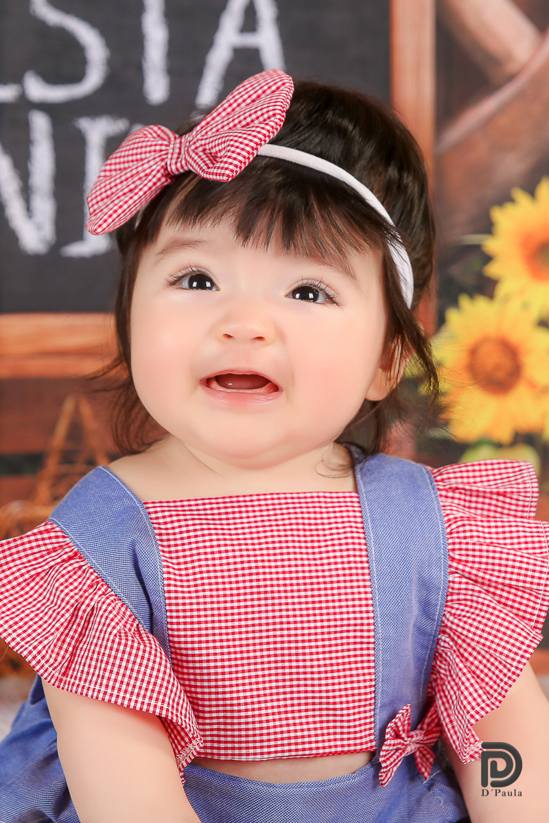 studio-estudio-foto-fotografia-book-gestante-acompanhamento-bebe-mesversario-casal-smash-newborn-ibiuna-aniversario-sao-paulo-laço-rosa-vermelho-fita-azul-chapeu-flores-girassol-festa-junina-bandeirinha
