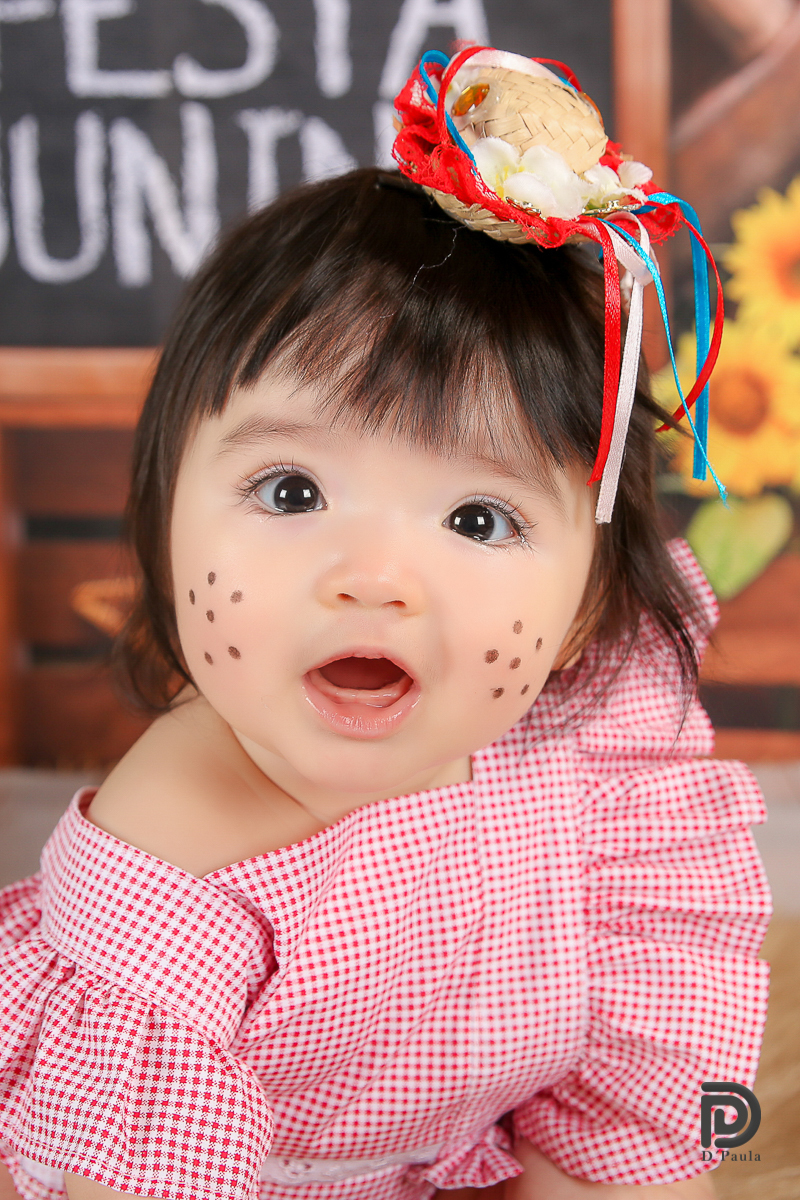 studio-estudio-foto-fotografia-book-gestante-acompanhamento-bebe-mesversario-casal-smash-newborn-ibiuna-aniversario-sao-paulo-laço-rosa-vermelho-fita-azul-chapeu-flores-girassol-festa-junina-bandeirinha