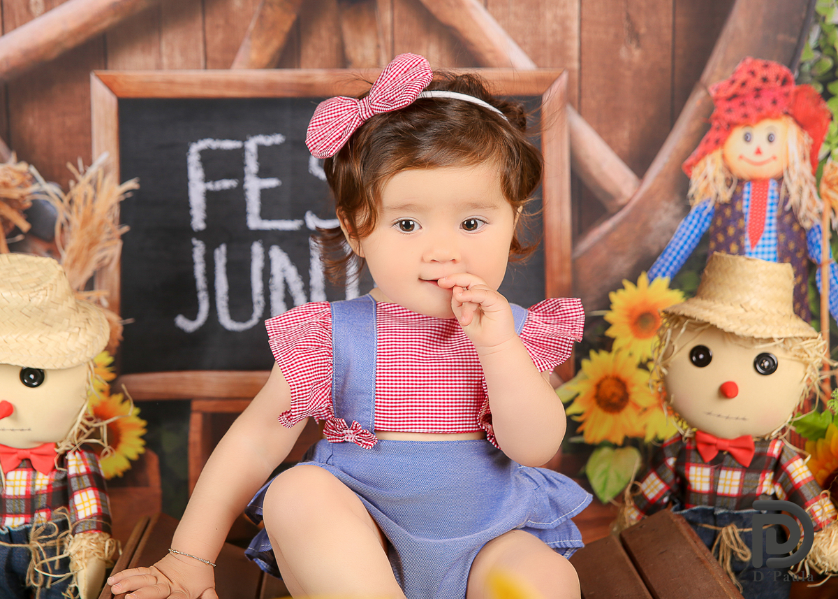 studio-estudio-foto-fotografia-book-gestante-acompanhamento-bebe-mesversario-casal-smash-newborn-ibiuna-aniversario-sao-paulo-girassol-rosa-laço-vermelho-amarelo-xadrez-chapeu