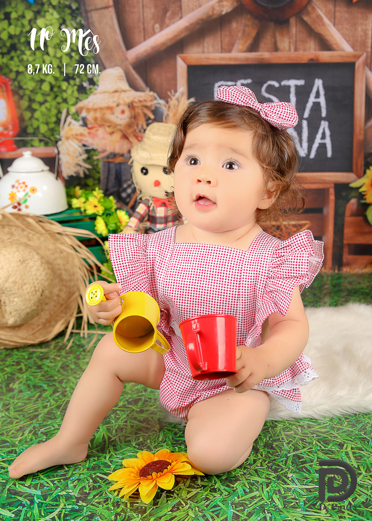 studio-estudio-foto-fotografia-book-gestante-acompanhamento-bebe-mesversario-casal-smash-newborn-ibiuna-aniversario-sao-paulo-girassol-rosa-laço-vermelho-amarelo-xadrez-chapeu