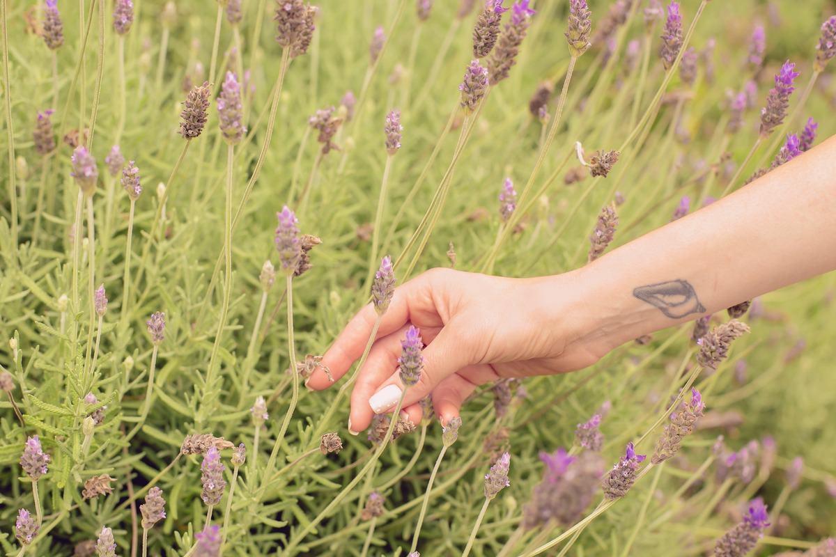 studio-estudio-foto-fotografia-book-gestante-acompanhamento-bebe-mesversario-casal-smash-newborn-ibiuna-aniversario-sao-paulo