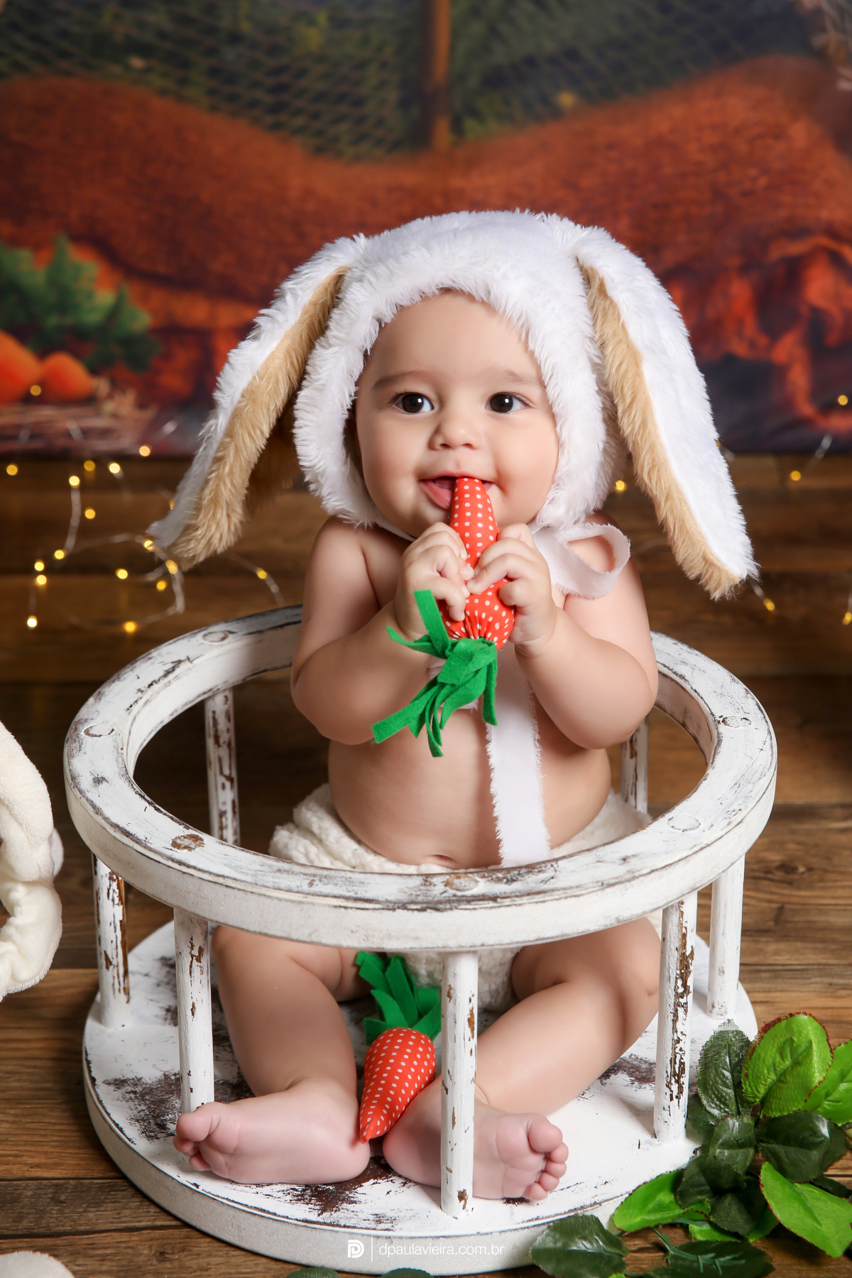 studio-estudio-foto-fotografia-book-gestante-acompanhamento-bebe-mesversario-casal-smash-newborn-ibiuna-aniversario-sao-paulo