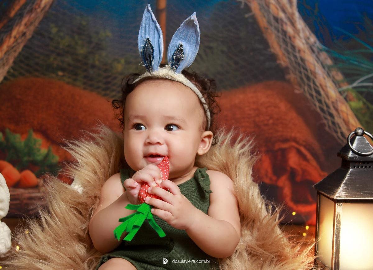 studio-estudio-foto-fotografia-book-gestante-acompanhamento-bebe-mesversario-casal-smash-newborn-ibiuna-aniversario-sao-paulo
