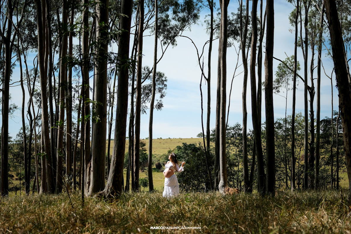 gestante em meio a eucalipto em indaiatuba