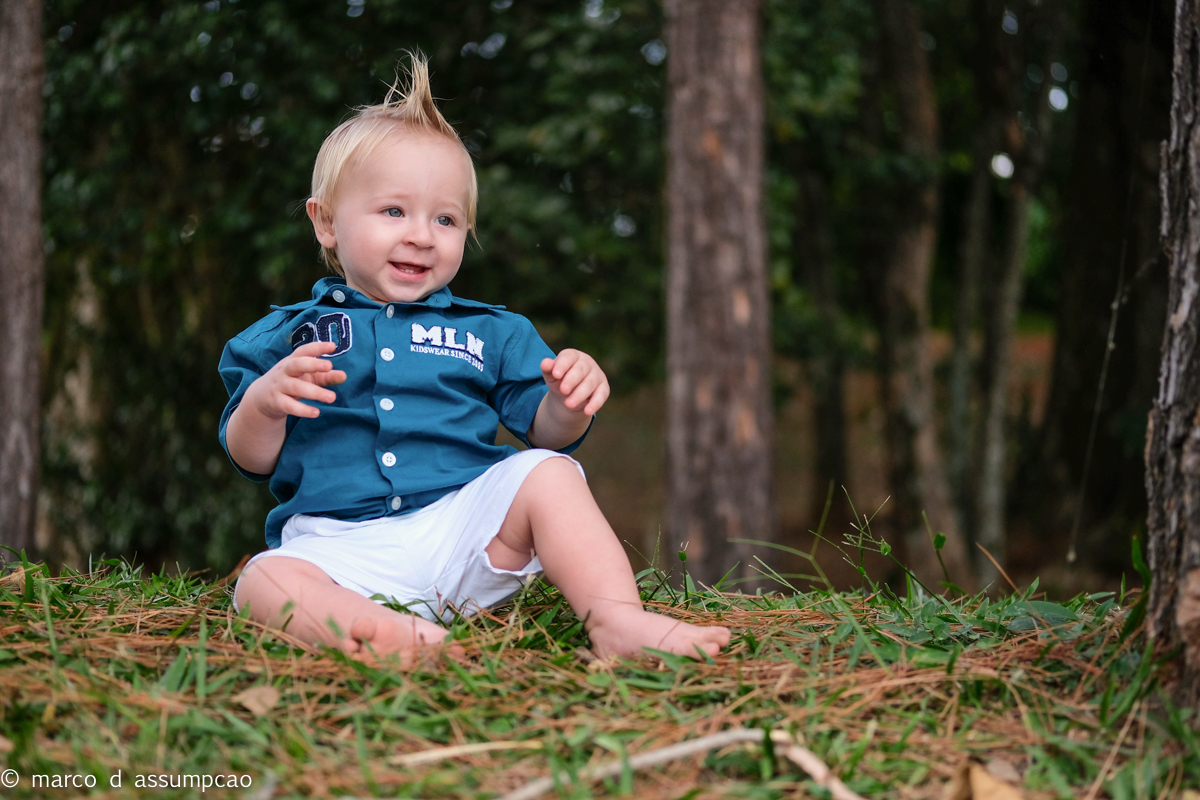 bebe sentado entre as arvores