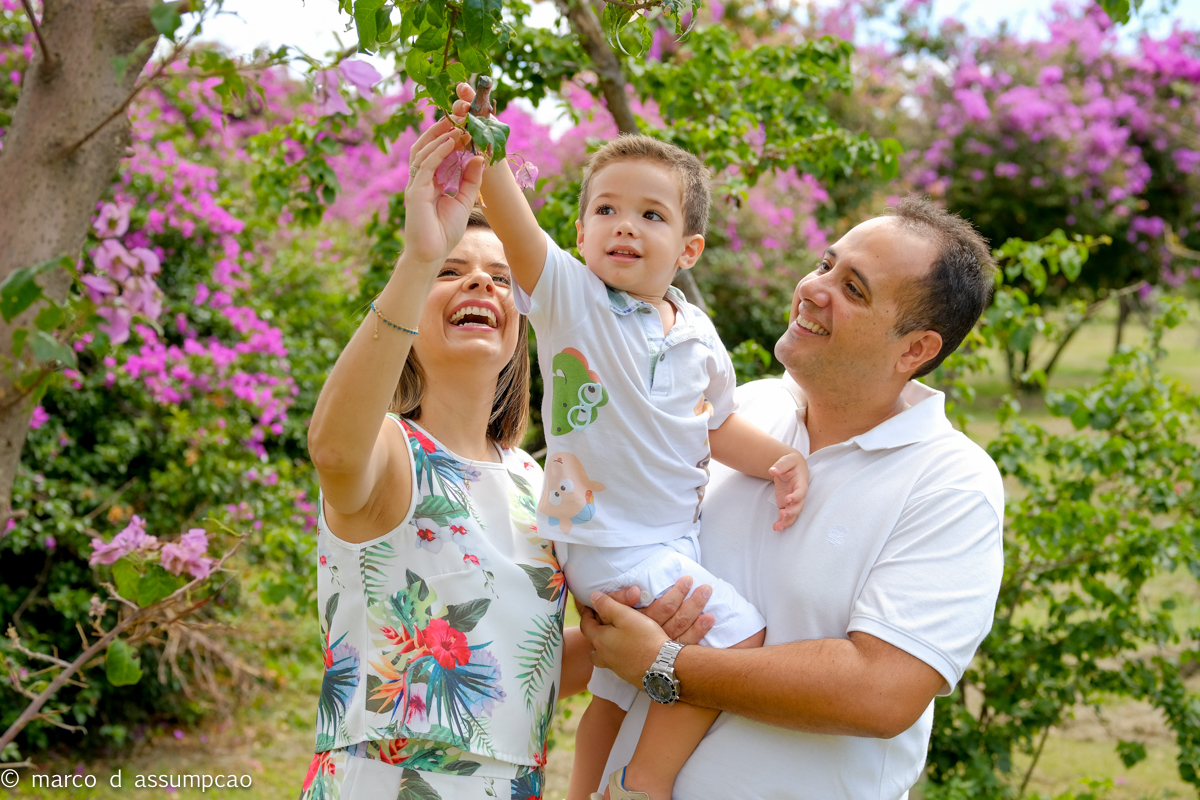 pais e filho brincando entre as flores