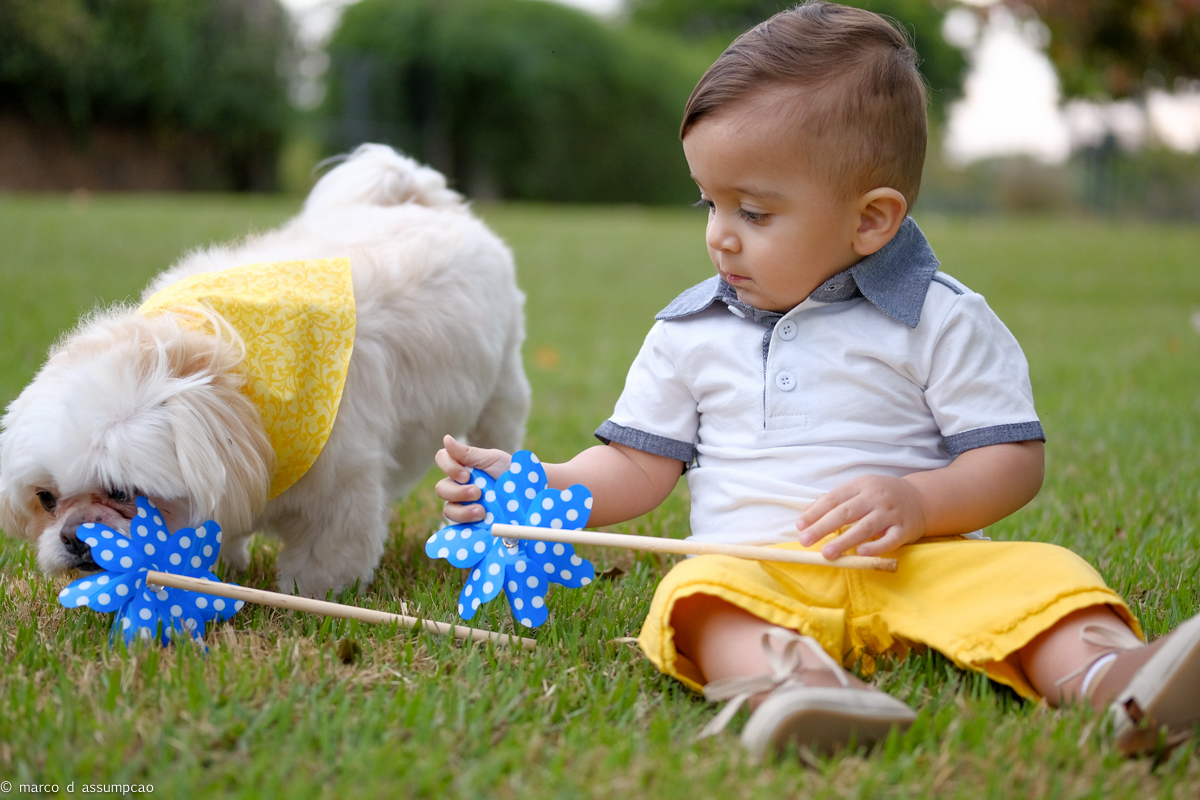 crianca sentada na bgrama com catavento e seu cachorro ao lado