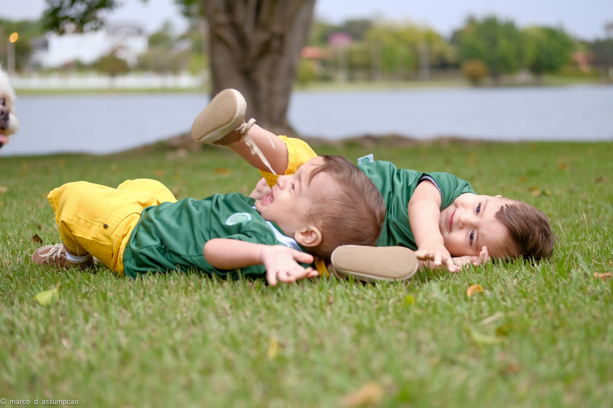 gemeos caindo na grama