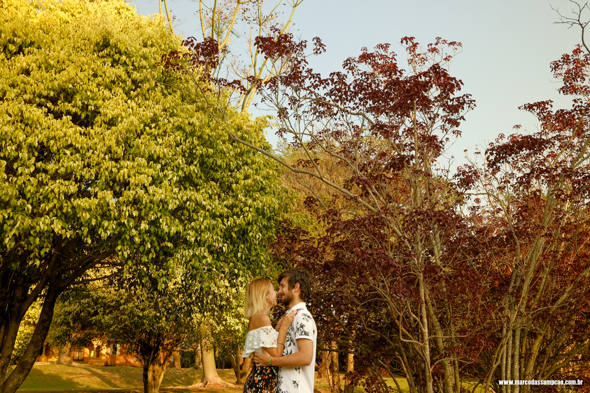 casal entre as arvores durante ensaio