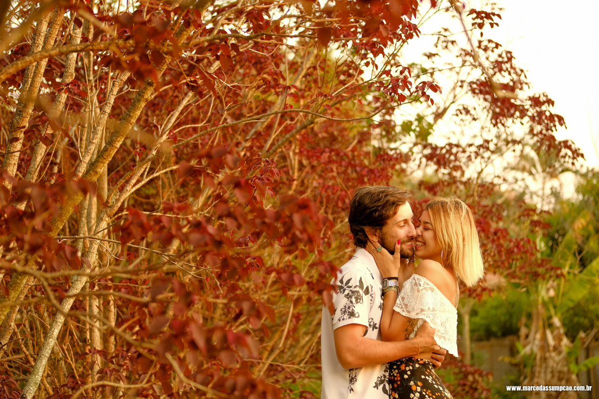 casal entre as arvores durante ensaio