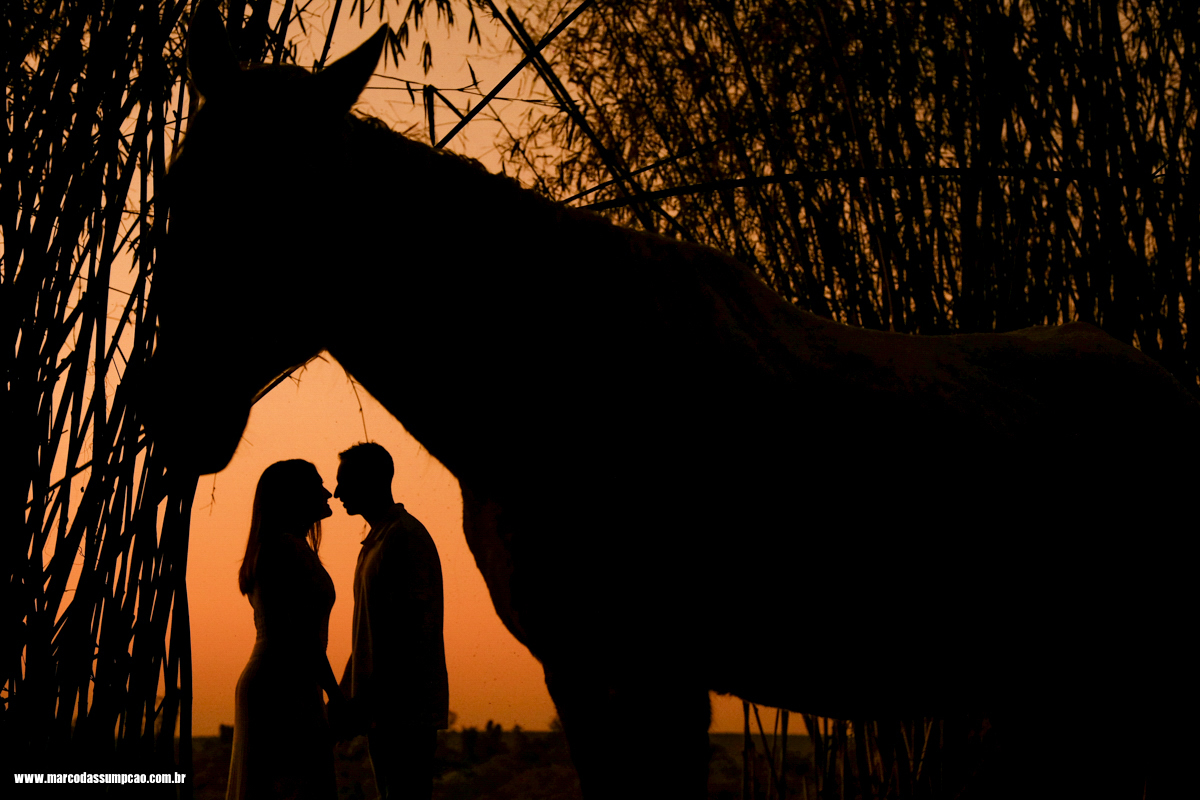 noivos em silhueta de por do sol com um cavalo 