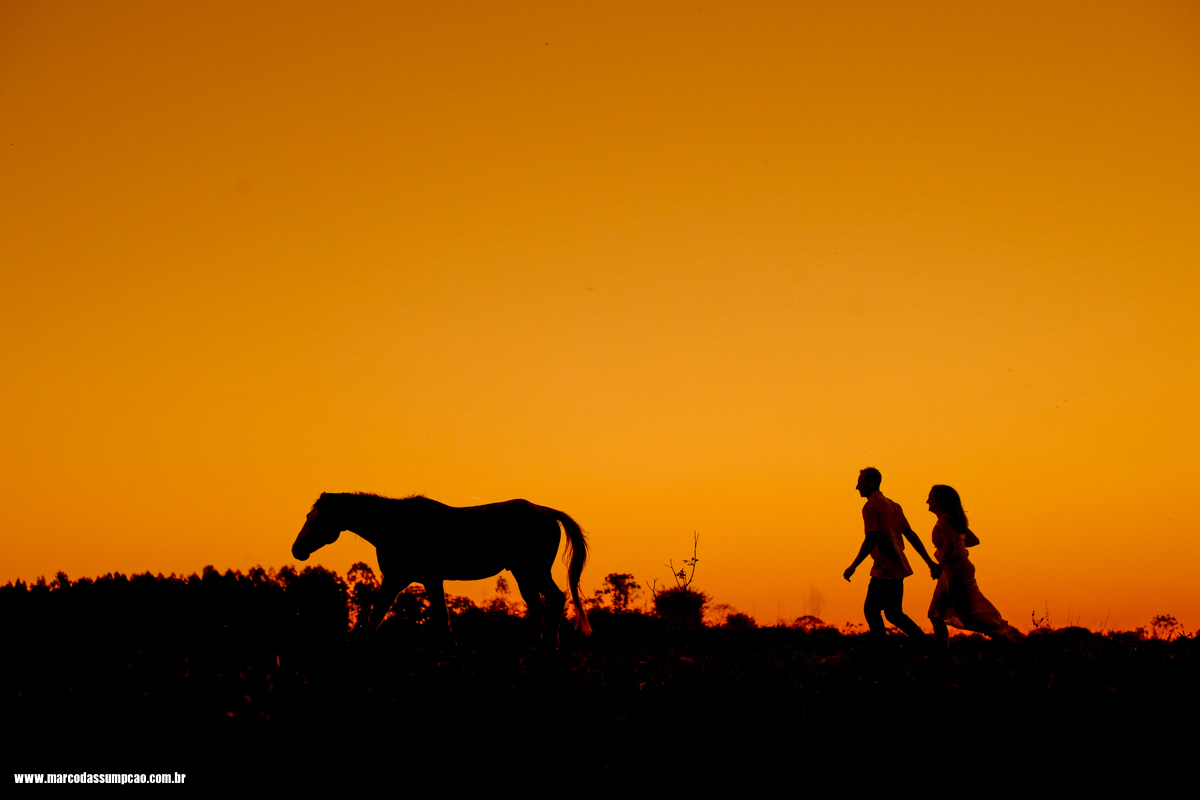 noivos correndo atras de cavalo em silhueta de por do sol amarelo