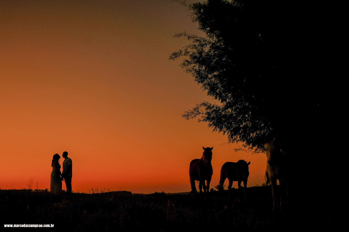 noivos em silhueta de por do sol com cavalos observando