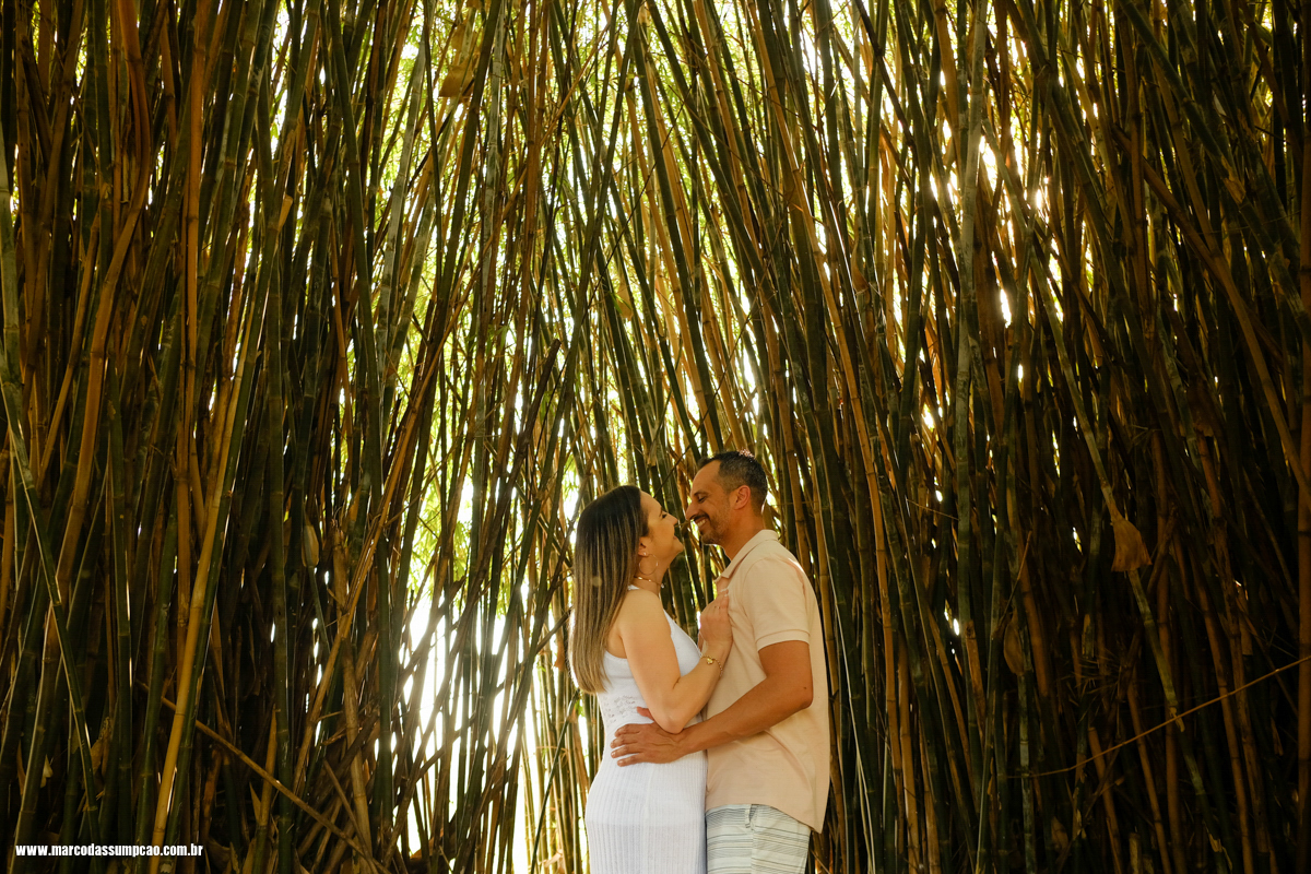 casal se abraçando em meio a bambuzal