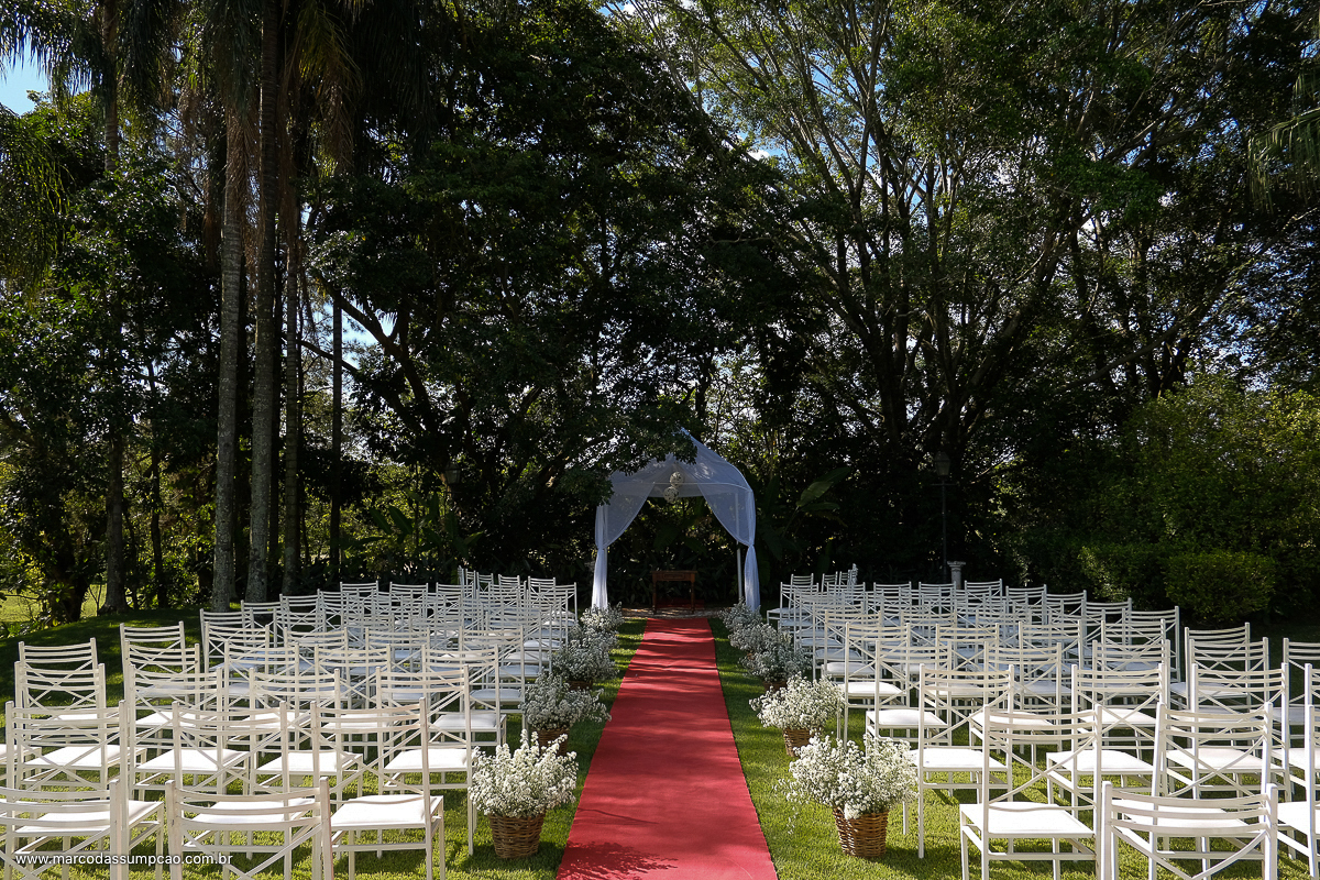 cadeiras arrumadas com tapete vermelho no meio no gramado 