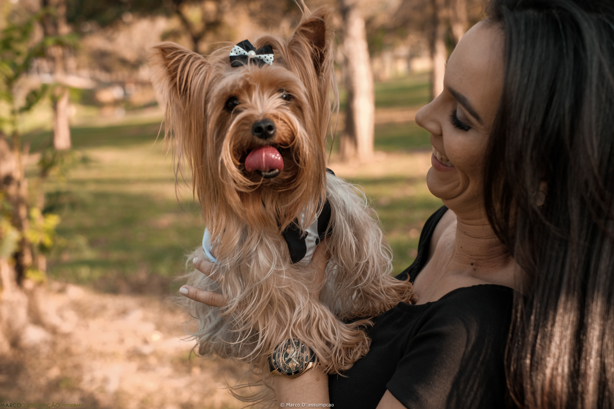 mae segurando o cahorro