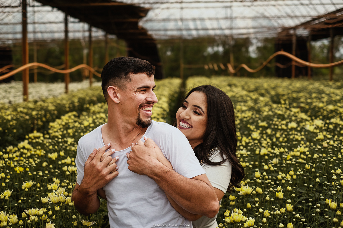 casal abracados no meio das estufa de flores margaridas amarelas