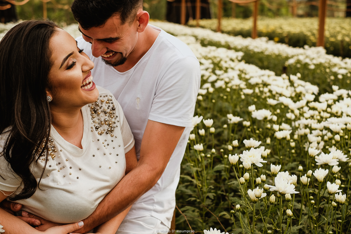 casal abracados no meio das estufa de flores margaridas brancas