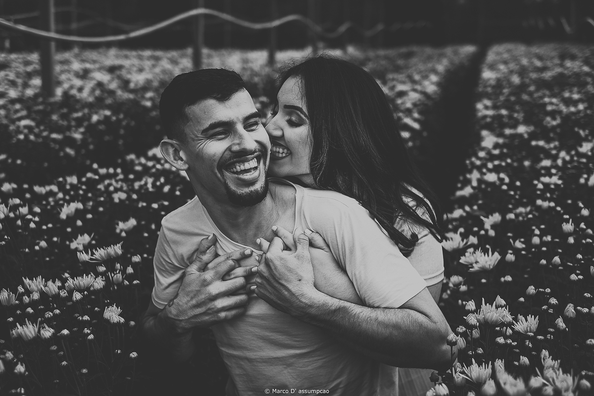 casal abracados no meio das estufa de flores margaridas brancas