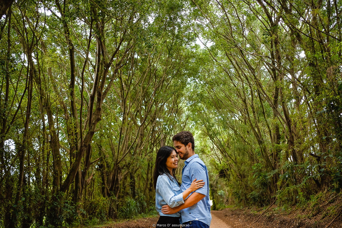 casal no meio de eucaliptos