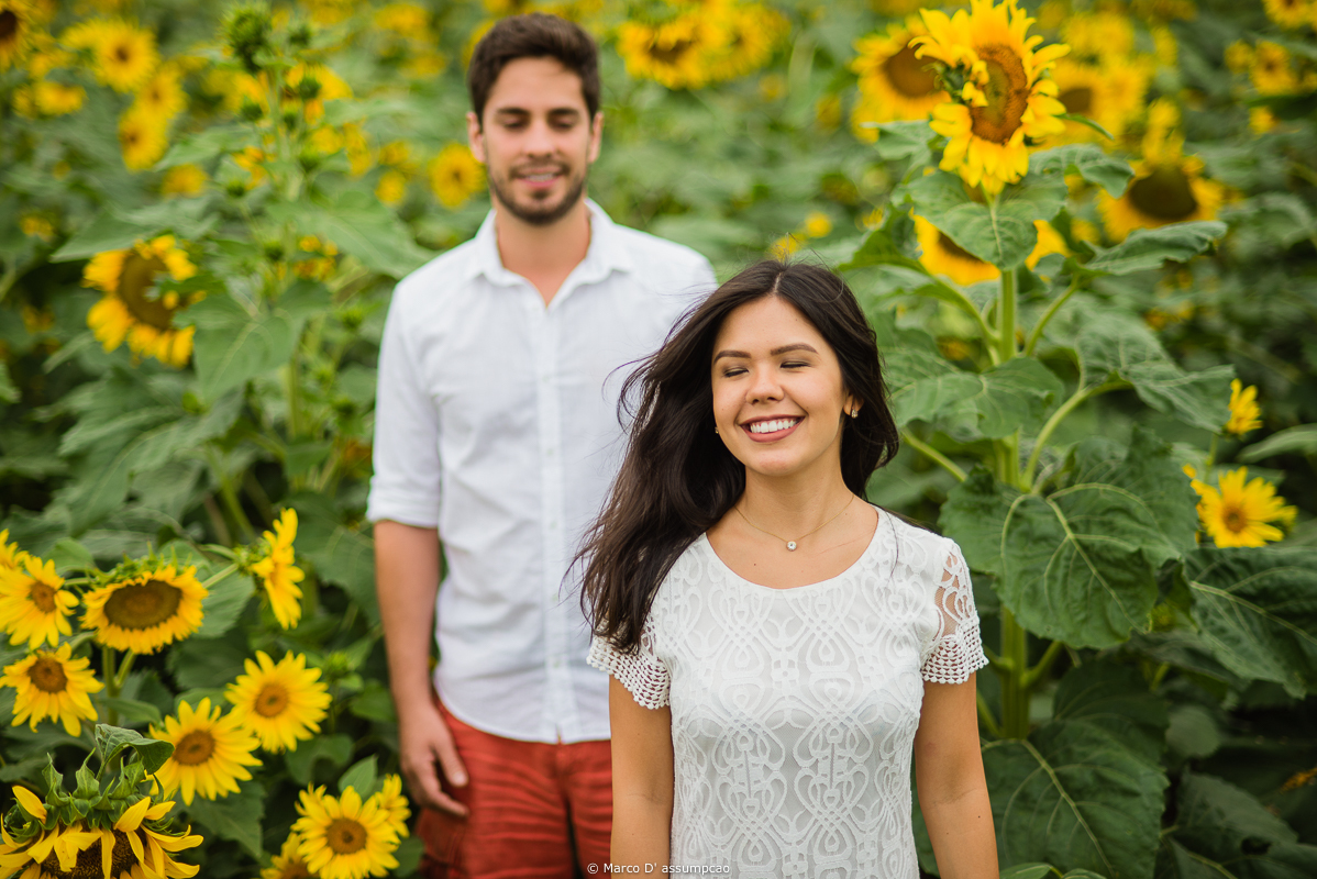 casal posado para foto no meio da plantacao de girassol