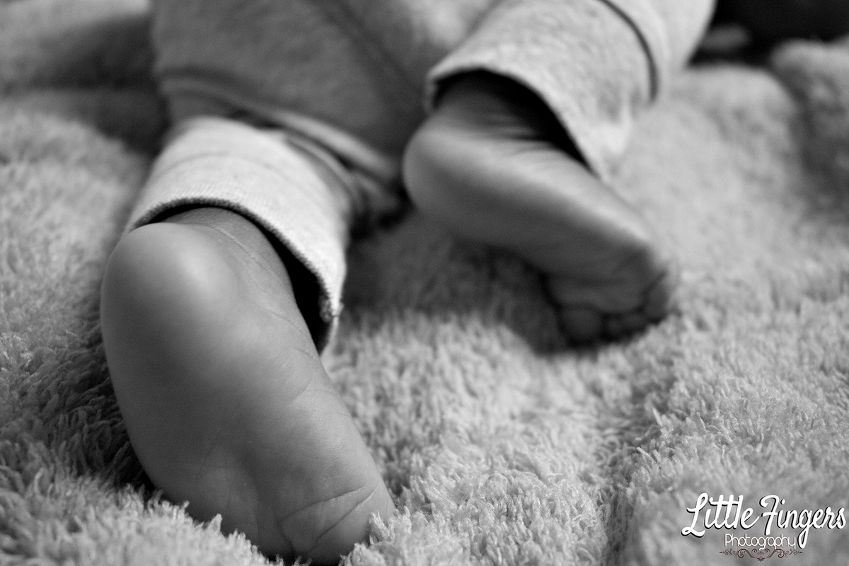 fotografo-infantil-teresopolis-newborn-teresopolis-smash-the-cake-ensaio-gestante-teresopolis-fotografia-de-familia-teresopolis-melhor-fotografo-infantil-teresopolis