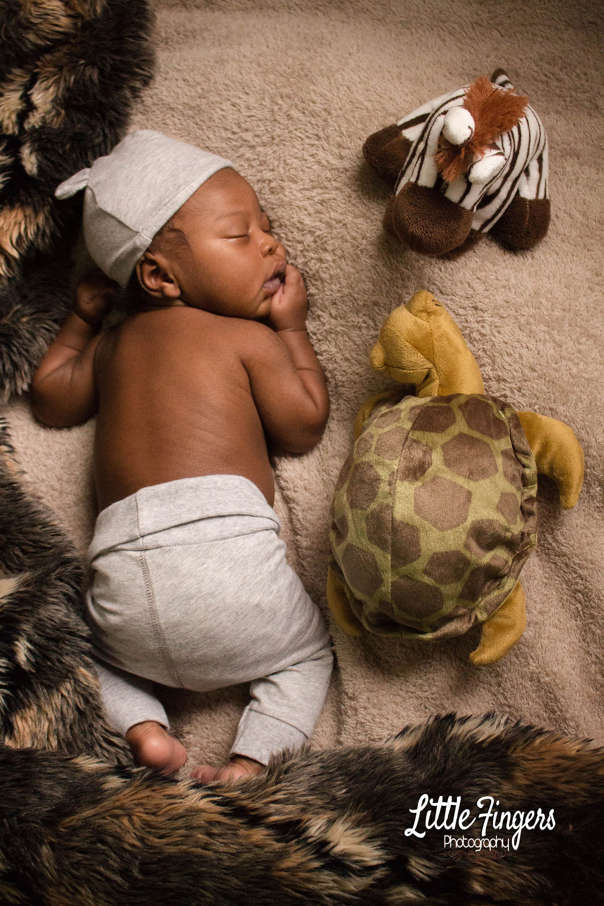 fotografo-infantil-teresopolis-newborn-teresopolis-smash-the-cake-ensaio-gestante-teresopolis-fotografia-de-familia-teresopolis-melhor-fotografo-infantil-teresopolis