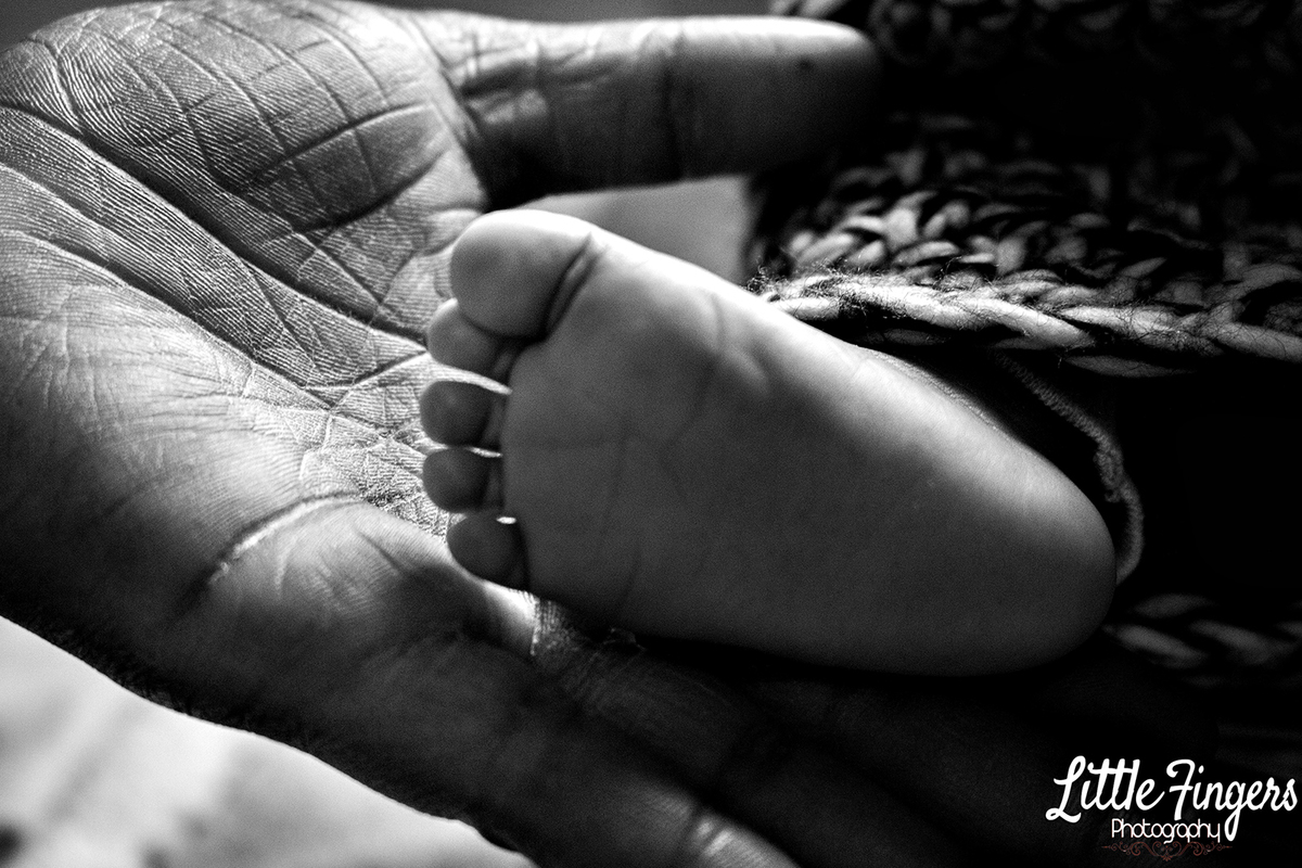 fotografo-infantil-teresopolis-newborn-teresopolis-smash-the-cake-ensaio-gestante-teresopolis-fotografia-de-familia-teresopolis-melhor-fotografo-infantil-teresopolis