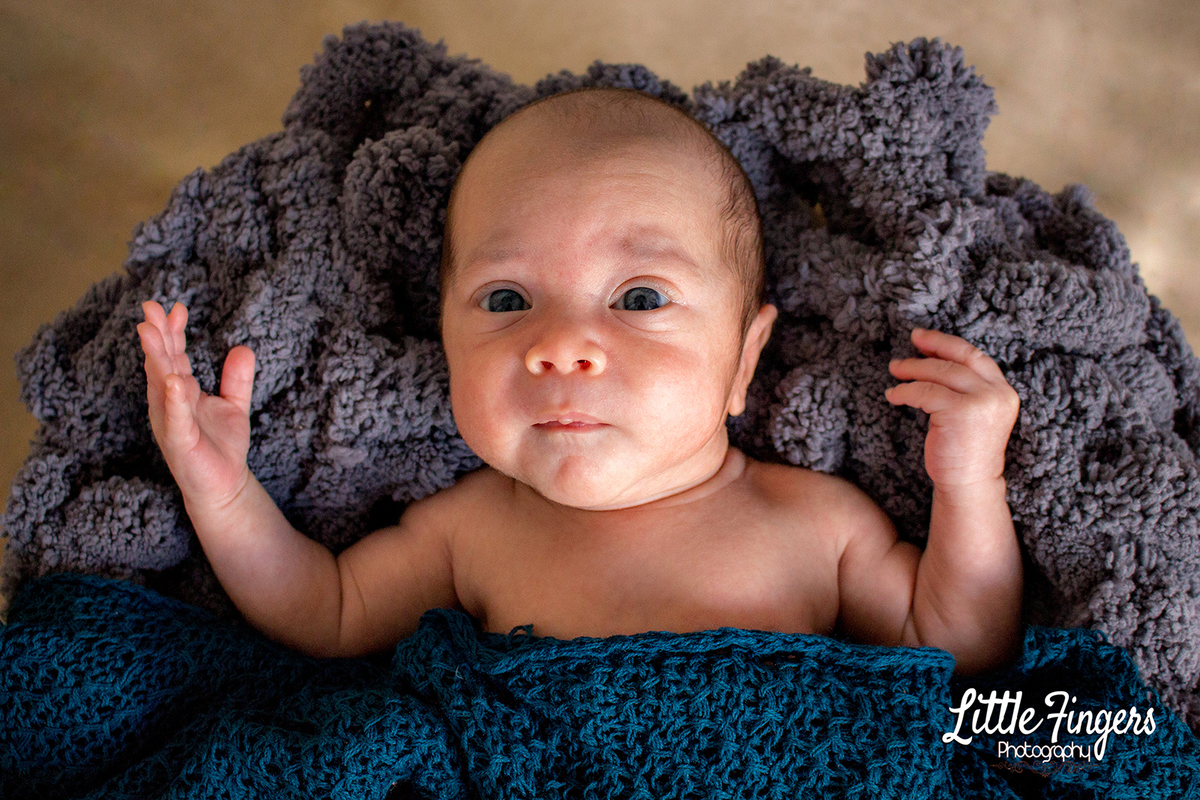 fotografo-infantil-teresopolis-newborn-teresopolis-smash-the-cake-ensaio-gestante-teresopolis-fotografia-de-familia-teresopolis-melhor-fotografo-infantil-teresopolis