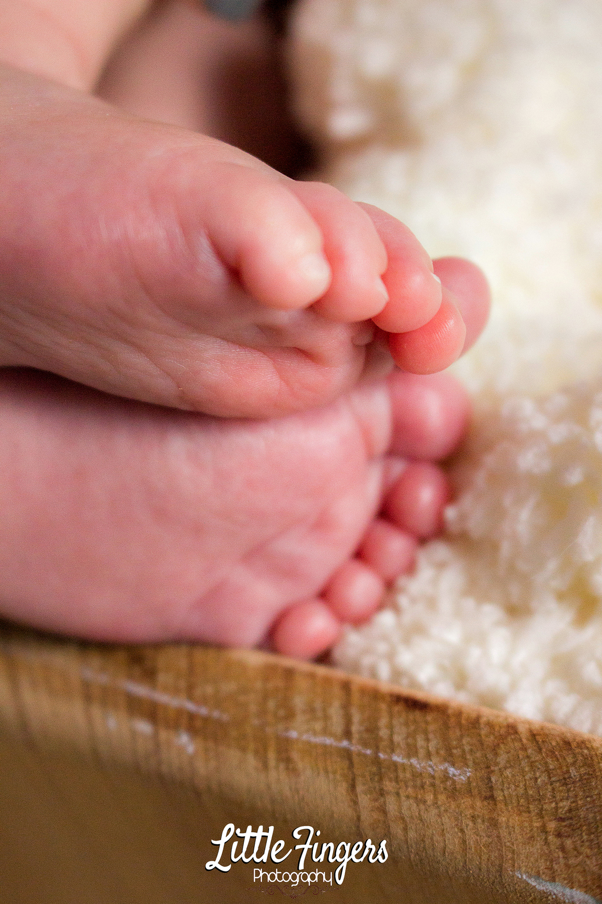 fotografo-infantil-teresopolis-newborn-teresopolis-smash-the-cake-ensaio-gestante-teresopolis-fotografia-de-familia-teresopolis-melhor-fotografo-infantil-teresopolis