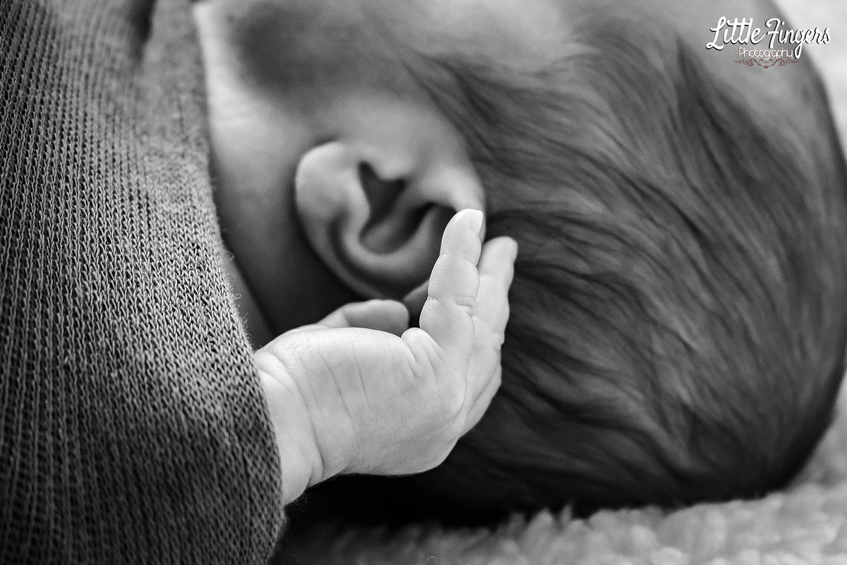 fotografo-infantil-teresopolis-newborn-teresopolis-smash-the-cake-ensaio-gestante-teresopolis-fotografia-de-familia-teresopolis-melhor-fotografo-infantil-teresopolis