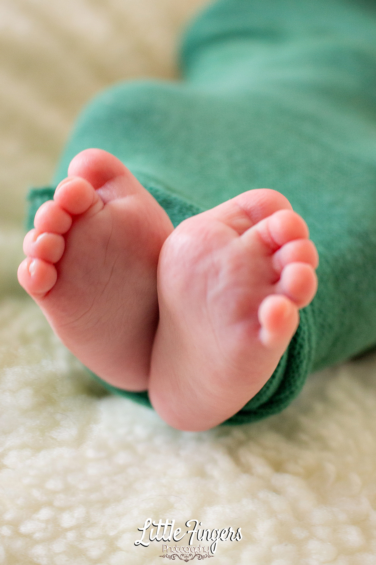 fotografo-infantil-teresopolis-newborn-teresopolis-smash-the-cake-ensaio-gestante-teresopolis-fotografia-de-familia-teresopolis-melhor-fotografo-infantil-teresopolis
