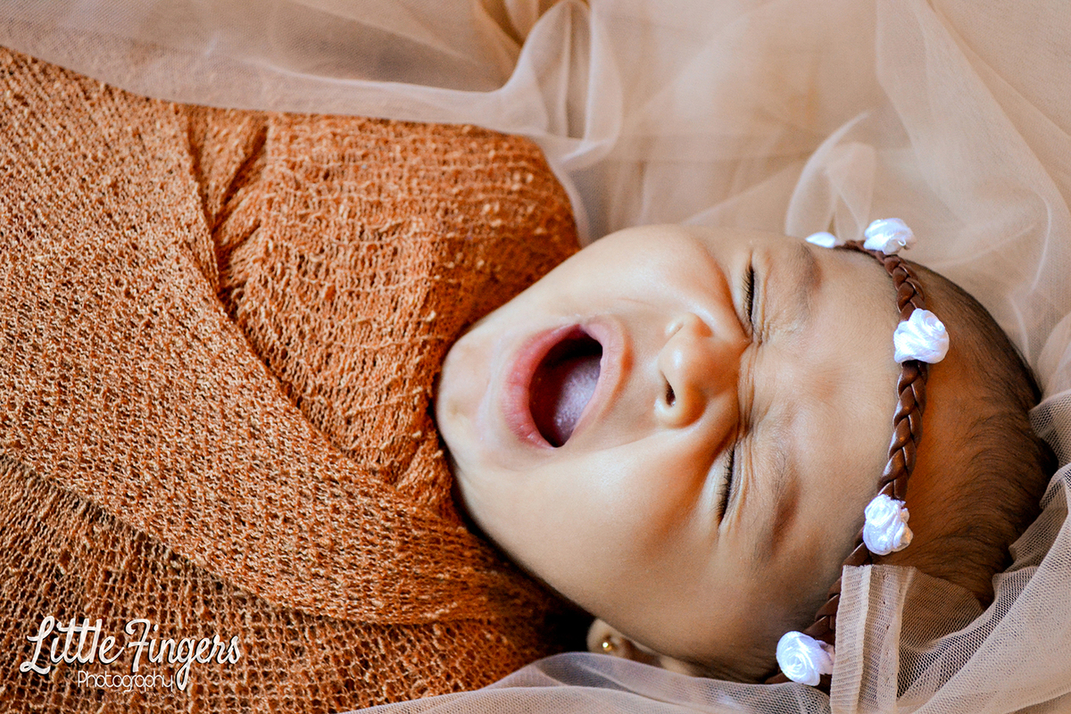 fotografo-infantil-teresopolis-newborn-teresopolis-smash-the-cake-ensaio-gestante-teresopolis-fotografia-de-familia-teresopolis-melhor-fotografo-infantil-teresopolis