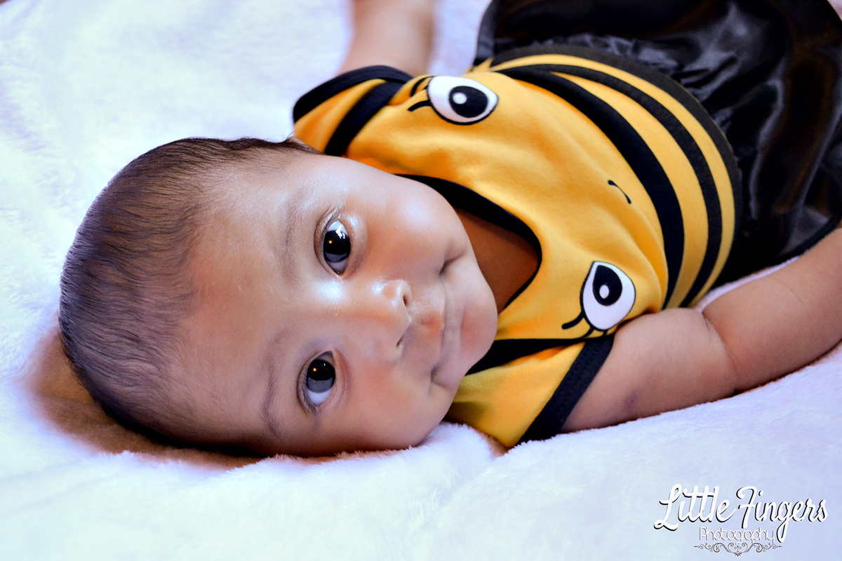 fotografo-infantil-teresopolis-newborn-teresopolis-smash-the-cake-ensaio-gestante-teresopolis-fotografia-de-familia-teresopolis-melhor-fotografo-infantil-teresopolis