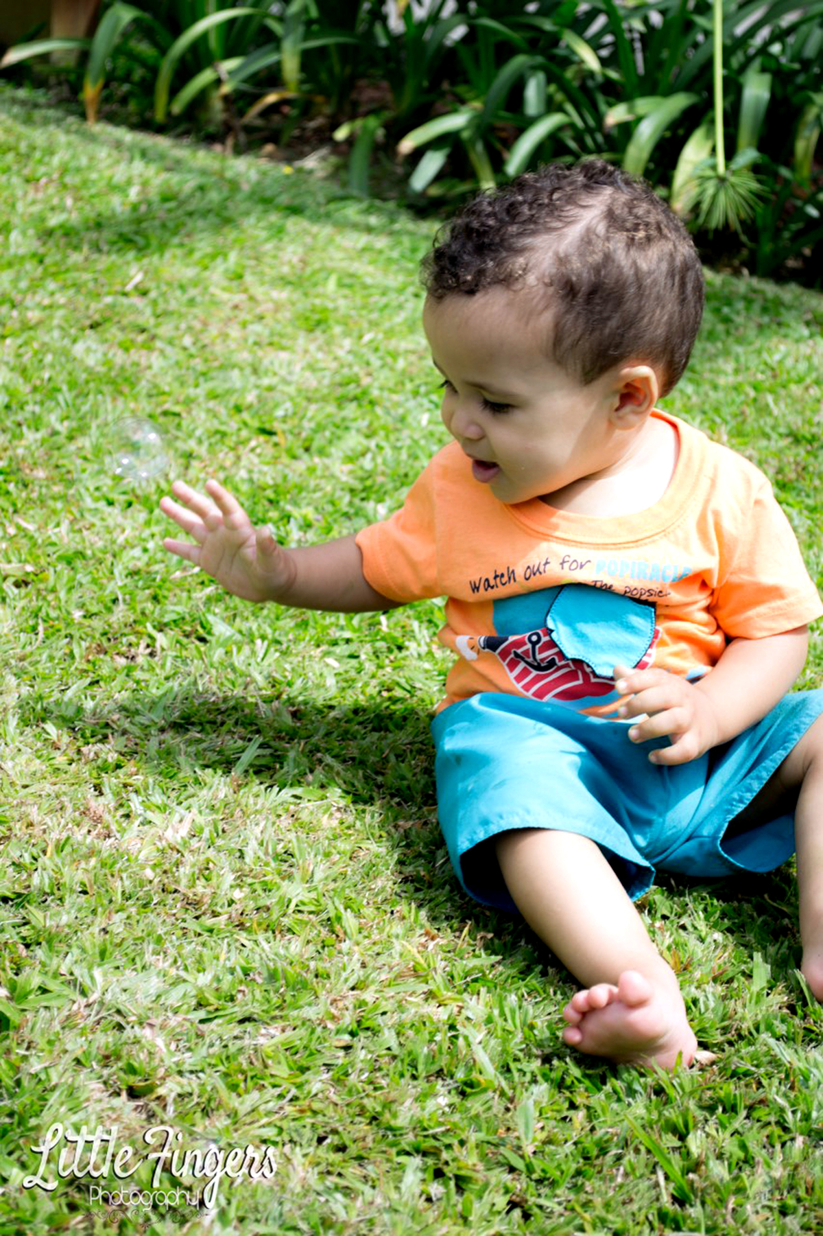 fotografo-infantil-teresopolis-newborn-teresopolis-smash-the-cake-ensaio-gestante-teresopolis-fotografia-de-familia-teresopolis-melhor-fotografo-infantil-teresopolis