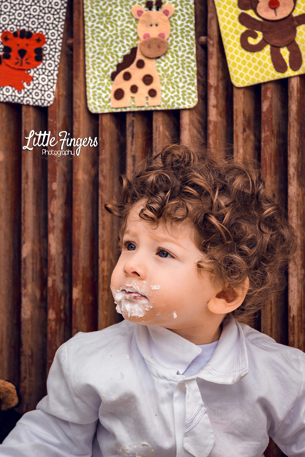 fotografo-infantil-teresopolis-newborn-teresopolis-smash-the-cake-ensaio-gestante-teresopolis-fotografia-de-familia-teresopolis-melhor-fotografo-infantil-teresopolis