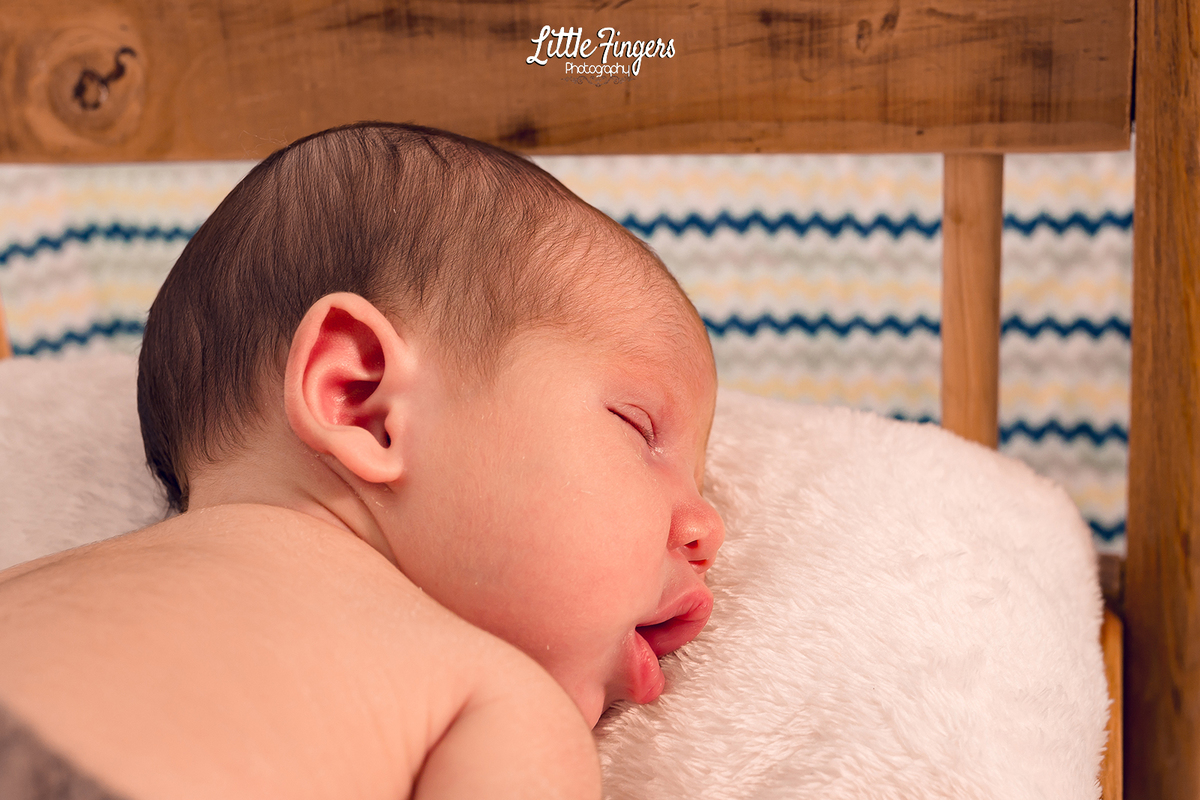 fotografo-infantil-teresopolis-newborn-teresopolis-smash-the-cake-ensaio-gestante-teresopolis-fotografia-de-familia-teresopolis-melhor-fotografo-infantil-teresopolis