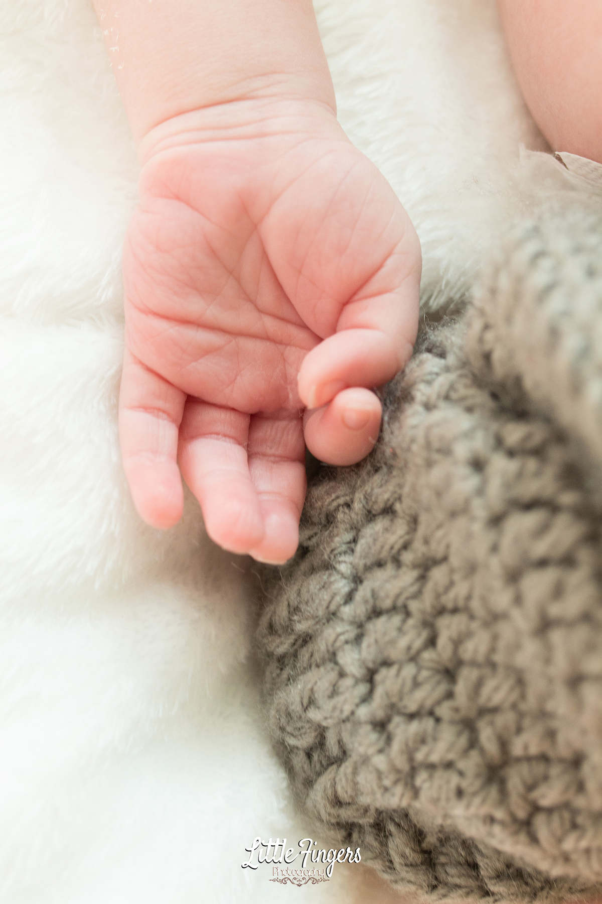 fotografo-infantil-teresopolis-newborn-teresopolis-smash-the-cake-ensaio-gestante-teresopolis-fotografia-de-familia-teresopolis-melhor-fotografo-infantil-teresopolis