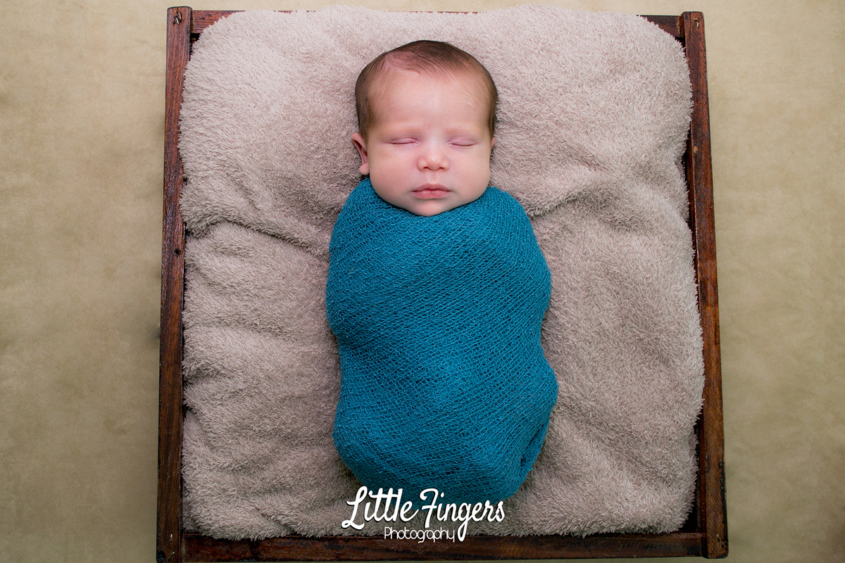fotografo-infantil-teresopolis-newborn-teresopolis-smash-the-cake-ensaio-gestante-teresopolis-fotografia-de-familia-teresopolis-melhor-fotografo-infantil-teresopolis